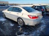 Honda Accord 1HGCR2F54EA805066 снимка