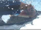Nissan Rogue 60Th Anniversary Edition/Sv Moonroof JN8BT3BB4SW165070 fotografie