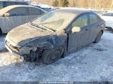 Honda Civic 2HGFA1F46BH007977 снимка