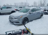 Hyundai Sonata Gls 5NPE24AF9GH423487 снимка