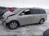 Honda Odyssey Ex 5FNRL38427B505167 снимка