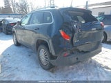 Jeep Cherokee 1C4PJMCB6HW580492 fotografie