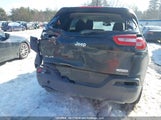 Jeep Cherokee 1C4PJMCB6HW580492 fotografie