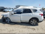 Hyundai Santa Fe 5NMS3DAJ0MH341919 photo