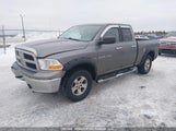 Ram Ram  Slt 1D7RV1GT4BS632396 fotografie