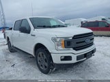 Ford F-150 Xlt 1FTEW1E49LFB72180 снимка