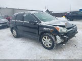 Honda Cr-V Ex-L 5J6RE48739L804283 photo