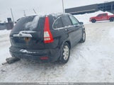 Honda Cr-V Ex-L 5J6RE48739L804283 fotografie