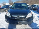 Honda Cr-V Ex 5J6RE485X7L804163 photo