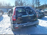 Honda Cr-V Ex 5J6RE485X7L804163 photo