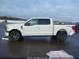 Ford F-150 Xlt 1FTFW1E50PFC53877 снимка