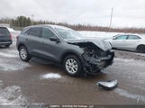 Ford Escape Active 1FMCU9GN1RUA61222 fotografie