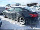 Nissan Maxima Platinum/Sl/Sr/Sv 1N4AA6AP2JC393215 fotografie