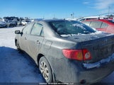 Toyota Corolla Ce 2T1BU4EE3AC250350 снимка