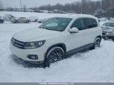 Volkswagen Tiguan 2.0 Tsi Comfortline/2.0 Tsi Highline/2.0 Tsi Trendline WVGJV7AX2DW509225 photo