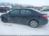 Toyota Corolla Le 2T1BURHE8FC307318 fotografie
