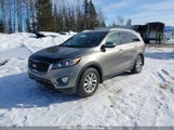Kia Sorento 5XYPGDA50HG251134 снимка