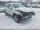 Volkswagen Tiguan Comfortline/Highline/Trendline WVGJV3AX0EW588565 photo