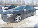 Toyota Camry Le/Xle 4T1B11HK7JU032239 photo