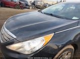 Hyundai Sonata Gls 5NPEB4AC3DH693185 снимка