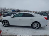 Chevrolet Malibu Limited 1G11C5SA6GU139494 photo