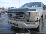 Ford F150 1FTEW1EPXNFB42800 снимка
