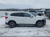 BMW X1 xDrive28I/xDrive28I Essential WBXJG9C02M5T45834 снимка