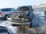 Mazda B4000 Cab Plus 4F4ZR47E78PM00010 fotografie