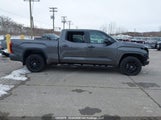 Toyota Tundra Crewmax Platinum/Crewmax /Crewmax Limited 5TFWC5EC5RX008214 fotografie