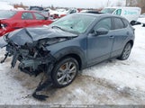 Mazda Cx-30 Preferred 3MVDMBCM7RM698308 photo
