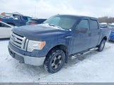 Ford F150 Supercrew 1FTEW1E89AFB32777 снимка