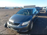 Toyota Corolla S/Le/Xle 2T1BU4EE5AC218371 снимка