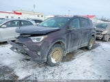Toyota Rav4 Xle 2T3RFREVXJW807248 снимка