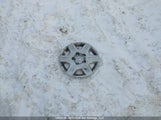 Dodge Grand Caravan Cv 2D4HN11EX9R612216 снимка