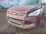 Ford Escape Se 1FMCU9G98EUC62743 fotografie