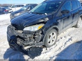 Ford Escape 1FMCU0GX5DUC89214 fotografie