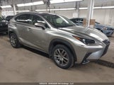 Lexus Nx 300H JTJGJRDZ1L5004636 снимка