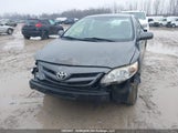 Toyota Corolla S/Le 2T1BU4EE6CC916569 снимка