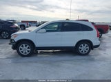 Honda Cr-V Ex-L 5J6RE48718L809612 снимка