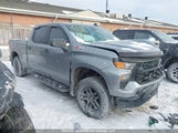 Chevrolet Silverado  Custom Trail Boss 3GCPDCEK8PG195379 снимка
