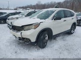 Honda Cr-V Lx 2HKRM4H34EH110433 снимка