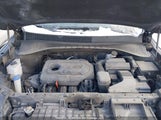 Kia Sorento 2.4L Lx 5XYPGDA39KG517949 fotografie