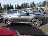 Toyota Rav4 Xle 2T3RFREV8HW639975 снимка