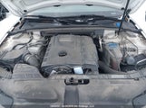 Audi A4 2.0T Technik Plus WAUKFCFL1FN002391 fotografie