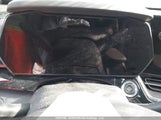 Chevrolet Trax 2Rs KL77LJE22SC214895 снимка