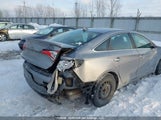 Hyundai Sonata Gls 5NPE24AF1GH294239 снимка