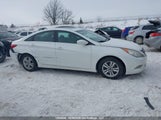 Hyundai Sonata Gls 5NPEB4AC8BH201537 снимка