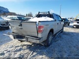 Ford F-150 1FTFW1EF1DFD28297 снимка