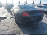 Ford Mustang Gt 1FA6P8CF5M5112389 снимка