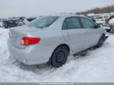 Toyota Corolla Le 2T1BU4EE9AC225422 снимка